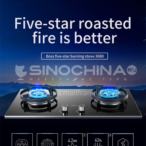 Robam DQ009080 gas stove double stove gas stove fierce fire household natural gas liquefaction stove